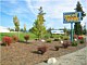 Commercial Landscapes