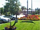 Commercial Landscapes