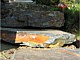 Residential Landscapes